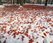 Фото з відкритих джерел  