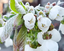 Похолодання затягнеться до травня: де в Україні вдарять заморозки - фото з відкритих джерел