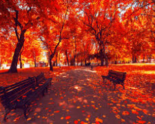 Погода на тиждень - фото ілюстративне з відкритих джерел 