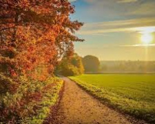 Погода на тиждень - фото ілюстративне з відкритих джерел 