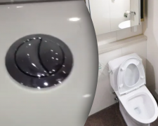 Як подвійна кнопка на унітазі допомагає і гаманцю, і планеті - фото з відкритих джерел