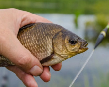 Фото з відкритих джерел