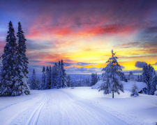 Погода на вікенд - фото ілюстративне з відкритих джерел  