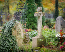Які рослини переживуть спеку і холод: вибір для кладовища - фото з відкритих джерел