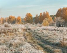 Фото з відкритих джерел      