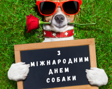 Не просто домашній улюбленець: чому у світі відзначають День собаки - фото з відкритих джерел