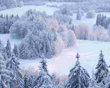 Морози до -25 °С: якою буде погода в Україні найближчими днями - фото з відкритих джерел