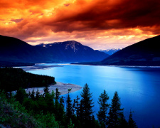 Прогноз по Кривому Рогу