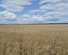 фото редакції krivbass.city