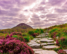 На порозі похолодання - фото ілюстративне з відкритих джерел  