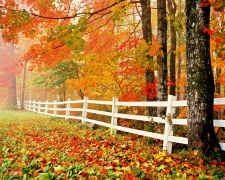 Погода на вікенд - фото ілюстративне з відкритих джерел  