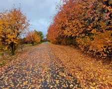 Погода на листопад - фото ілюстративне з відкритих джерел  