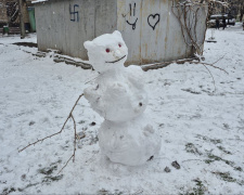 Парад сніговиків: у Кривому Розі містяни зустріли перший сніг - фотофакт
