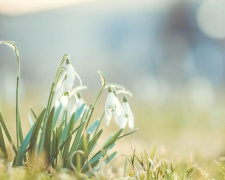 Антициклон панує: що очікувати від погоди на вихідні - фото з відкритих джерел