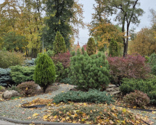 фото редакції krivbass.city