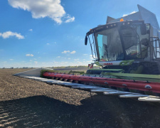 Українські аграрії проти стихії: як триває збір урожаю соняшника - фото з каналу Євген Ситниченко / Криворізький район