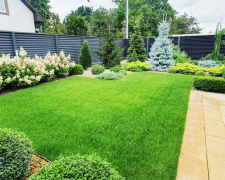 Як звичайна кориця може врятувати ваш газон - фото з відкритих джерел