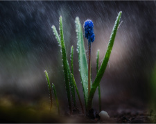 День сили: як використати енергію весняного рівнодення - фото з відкритих джерел