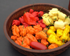 Фото Суспільне Дніпро