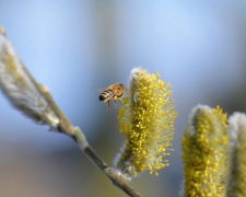 Весна з характером: де литиме дощ і де буде найтепліше - фото з відкритих джерел
