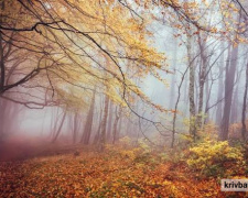погода на вікенд - фото ілюстративне з відкритих джерел