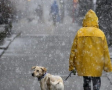 Сніг, ожеледиця та похолодання: що очікує українців найближчими днями?