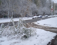 Посипали дороги, буксували таксі та визволяли зі снігового полону: на Дніпропетровщині випав перший сніг