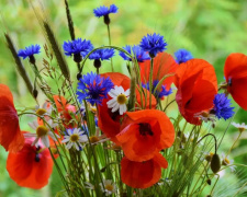 Скільки вихідних матимуть українці у травні 2026 року - фото з відкритих джерел