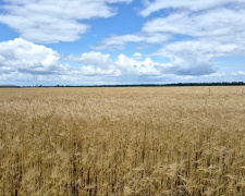 фото редакції krivbass.city