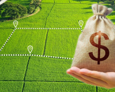 Фото з відкритих джерел