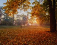 Погода на тиждень - фото ілюстративне з відкритих джерел 