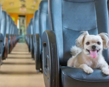 Фото з відкритих джерел