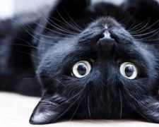 П'ятниця 13-те - фото з відкритих джерел