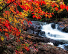 Погода на тиждень - фото ілюстративне з відкритих джерел 