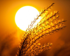 День літнього сонцестояння - фото ілюстративне з відкритих джерел     