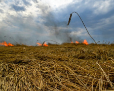 Фото з відкритих джерел