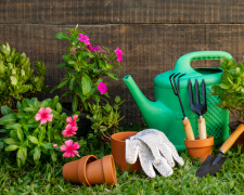 Догляд за садом у липні - фото з відкритих джерел