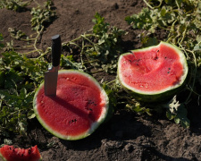 Фото Суспільне Дніпро