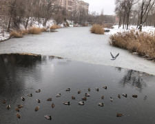 фото редакції krivbass.city