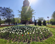 Фото Департамент розвитку інфраструктури міста