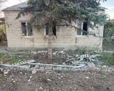 Фото Дмитро Невеселий