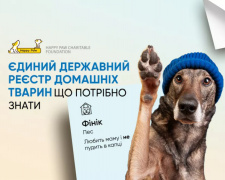 Фото з відкритих джерел