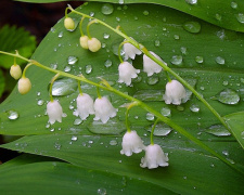 Погода в уїк-енд - фото ілюстративне з відкритих джерел