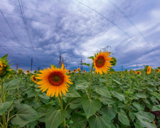 Фото Анатолія Урбана Новака 