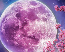 Рожева повня: час відпустити зайве і почати новий етап - фото з відкритих джерел