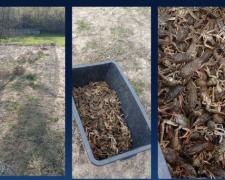 Фото Дніпропетровського рибоохоронного патрулю