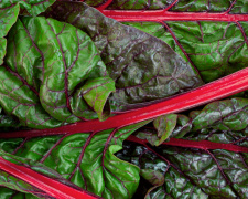 Суперфуд з грядки: що приховує бурякове листя - фото з відкритих джерел