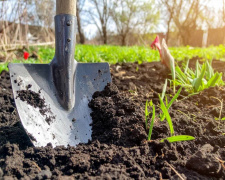 Чи обов’язково перекопувати город восени - фото з відкритих джерел