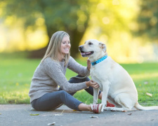 Як собака покращує настрій: наука та практика - фото з відкритих джерел