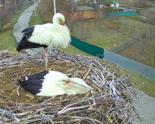 Таємниці подружніх зв'язків - фото з відкритих джерел